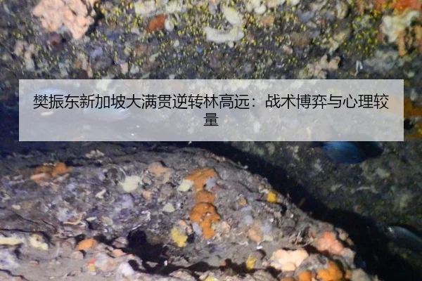 fan-zhen-dong-xin-jia-po-da-man-guan-ni-zhuan-lin-gao-yuan-zhan-shu-bo-yi-yu-xin-li-jiao-liang-3-717.jpg